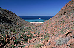 Photo looking toward Los Candeleros at Espiritu Santo, Brad Hollingsworth © 2000 SDNHM