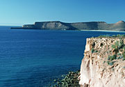 Photo of Isla Espiritu Santo, Brad Hollingsworth © 2000 SDNHM