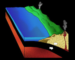 [diagram of Late Cretaceous, Brad Riney © 2000 SDNHM