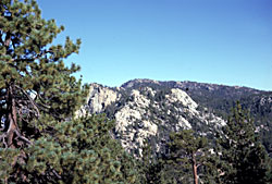 Sierra de San Pedro Martir, looking toward Blue Bottle, photo by Reid Moran, SDNHM